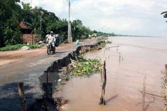 Tra Vinh: Nearly 11 mln USD earmarked to upgrade embankment