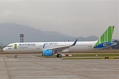 COVID-19: Domestic airlines reduce flight frequency 