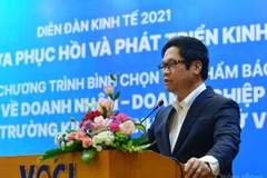 Tripod strategy crucial to economic recovery in 2021: experts