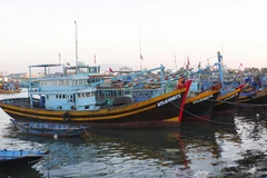 Fish catches recovering after COVID-19 in central provinces