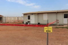 Support for Vietnamese peacekeeping forces to fight COVID-19