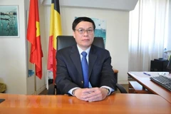 Belgian firms updated on business opportunities in Vietnam 