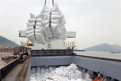 PM: rice exports must be controlled to ensure food security