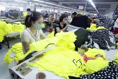 HCM City firms expect further support to overcome difficulties