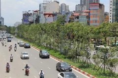 Air quality in big cities improves in last month