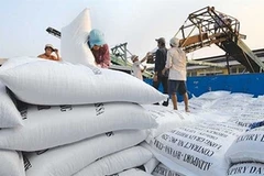 Ministry of Industry and Trade proposes resuming rice exports