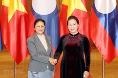 Parliamentary cooperation promotes Vietnam - Laos friendship: Top legislator