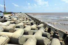 Bac Lieu spends nearly 12 trillion VND to enhance climate resilience