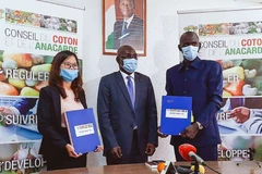 T&T Group purchases Ivory Coast’s entire stock of raw cashew nuts