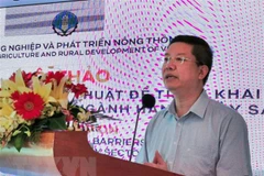 Vietnam’s seafood exports to EU predicted to down 20 percent 
