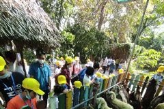 Tet tour season hit by COVID-19 fears