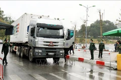 Vietnam-China auxiliary border gates reopened to facilitate trade