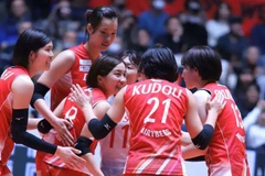 Vietnamese volleyball star to stay with Denso Airybee