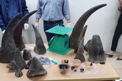 Man imprisoned for trafficking rhino horns