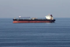 Vietnam urges Houthi rebels to cooperate with UN in oil tanker issue