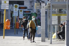 Embassy helps Vietnamese in Germany overcome COVID-19