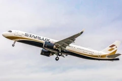 Another Taiwan-Da Nang air route launched