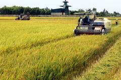 Vietnam eyes place in world’s top 10 farm produce processing hubs