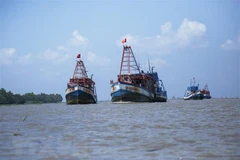 Fisheries Society opposes Chinese fishing bans in East Sea