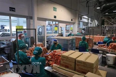 Vietnamese firms leave good impression despite COVID-19: Sputnik