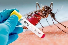 Laos reports 54 new cases, one more death from dengue fever