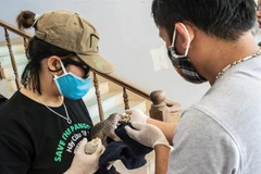 Rare, endangered animals handed over to authorities