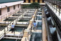 Binh Duong seeks ADB’s cooperation in various fields 