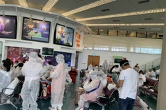 More Vietnamese citizens from Taiwan, Singapore flown home 