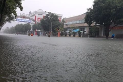 Ha Tinh to relocate 45,000 residents from flooded areas