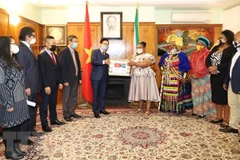 Vietnam presents gift to South Africa to fight COVID-19 