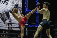 Mixed martial arts has a bright future in Vietnam