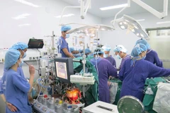 Record number of organ transplants performed