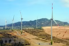 Wind power projects must obey power master plan: MoIT