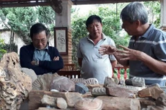 Palaeontology museum unearths Central Highlands history