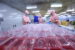 Vietnam-Israel trade surpasses 236 million USD in two months 
