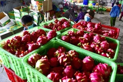 EVFTA helps boost Vietnam’s agricultural exports to EU 
