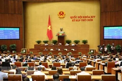 Lawmakers to vote on NA’s Supervision Programme for 2021