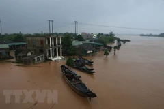 Indonesia extends sympathies over calamity-caused losses in central Vietnam