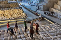 Finance Ministry proposes suspending low-grade rice exports until June 15