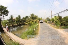 Long An’s district recognised as new-style rural area