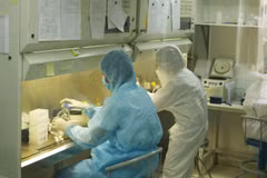 Number of COVID-19 cases remains unchanged over last two days