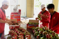 Vietnamese enterprises contribute to Vietnam-Australia trade