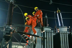 EVN to auction shares at Dong Anh electrical equipment company