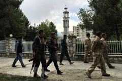 Vietnam backs Afghan-led peace process
