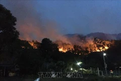 Forest fires a burning problem during dry season