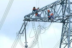 Thai firms to invest in thermal power plant in Quang Tri