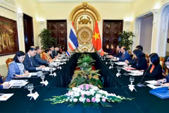 Vietnam, Thailand hold 7th political consultation in Hanoi