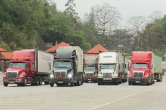 Ministry urges tighter border controls to stem COVID-19