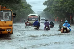 Huge efforts made to deal with natural disaster consequences 