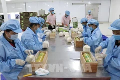 EVFTA brings myriad opportunities for Vietnam exporters: official